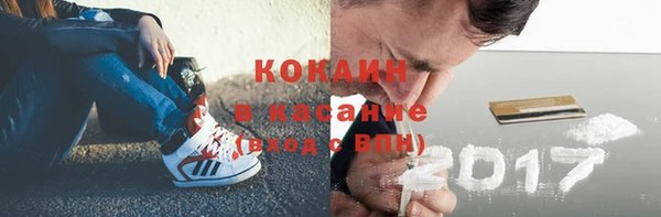 стафф Заполярный