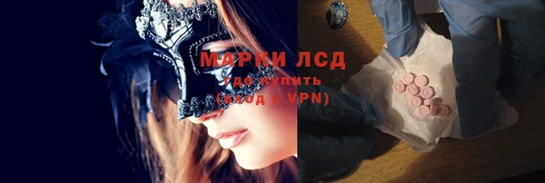 стафф Заполярный