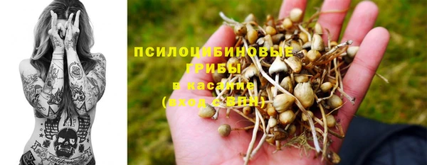 прущие крисы Покачи